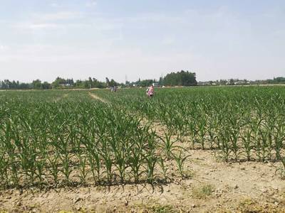 四川整体旱情趋于中旱,农作物受旱面积352.2万亩