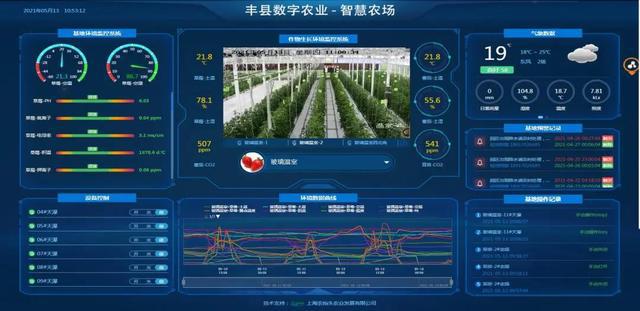 徐州丰县:智慧兴农打造富民"数字化作物工厂"|种植|蔬菜_网易订阅